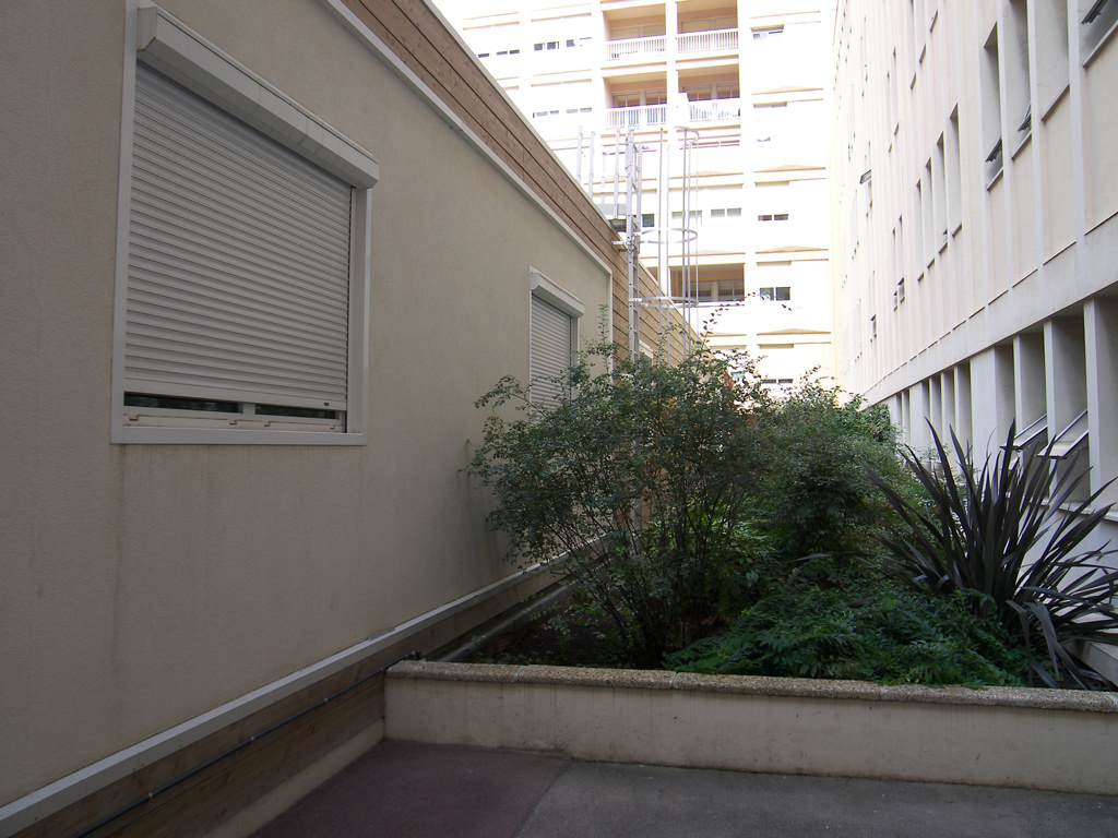 placeholder image-sq